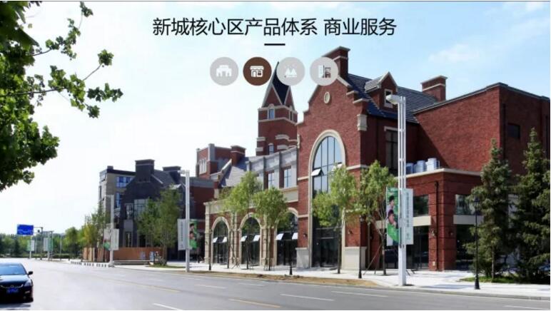 蔡震:面向開(kāi)發(fā)實(shí)踐的新城核心區(qū)城市設(shè)計(jì) 蔡震:面向開(kāi)發(fā)實(shí)踐的新城核心區(qū)城市設(shè)計(jì)